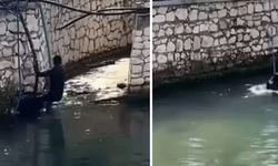 Polisten kaçarken Suriyeli dereye atladı
