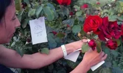 Hıdırellez Ritüelleri ve Gelenekleri