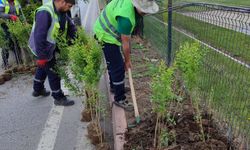 Kayseri Büyükşehir’den doğa dostu çevre düzenleme çalışmaları