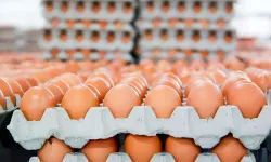 Almanya’da Kahverengi Yumurtalar Raflardan Kaldırılıyor