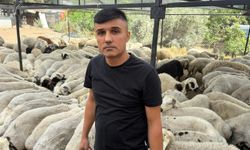 Karnı Şiş Kurbanlıklara Dikkat: Tuz ve Sumakla Dolandırıcılık Uyarısı