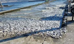 İzmir Körfezi’nde Amonyak Seviyeleri Normale Döndü