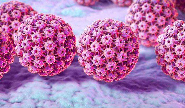 'HPV Dünyada En Yaygın Görülen Virüs'