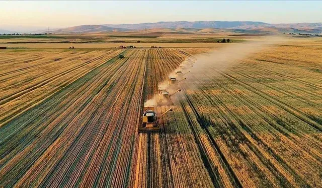 TÜİK Açıkladı: 2024'te Tarla Ürünleri Azalacak