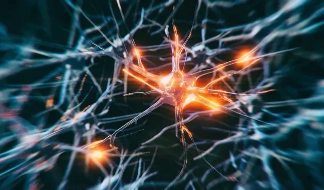 Alzheimer Teşhisinde Devrim: Erken Tanı İçin Kan Testi Umudu
