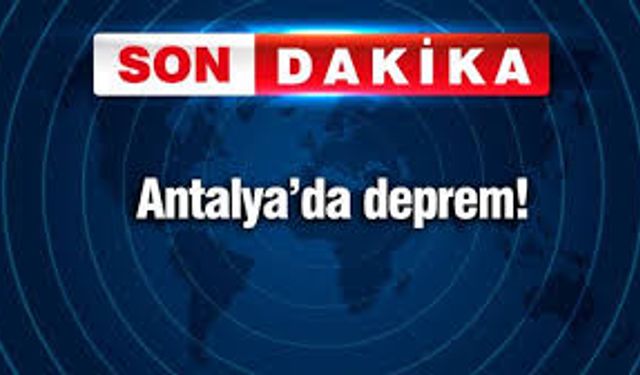 Yaz Aylarında Evcil Hayvanlarda Kene ve Uyuz Riski Artıyor