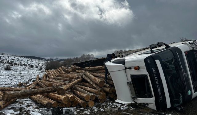 Tomruk yüklü tır devrildi: 1 yaralı