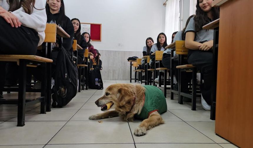 Okulun Maskotu Olan Fındık, Öğrencilerin En Yakın Arkadaşı Oldu