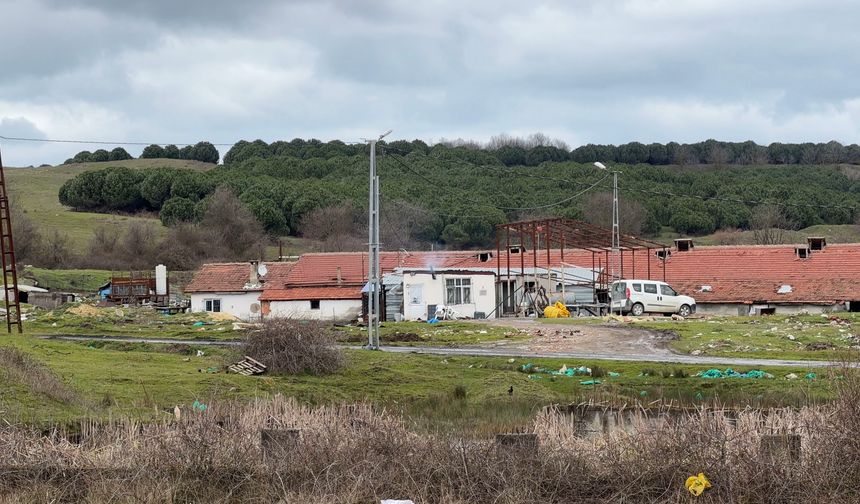 Alkolün etkisiyle gözü döndü: tartıştığı işçiyi boynundan ağır yaraladı