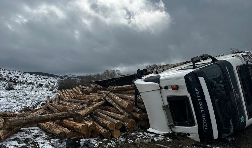 Tomruk yüklü tır devrildi: 1 yaralı